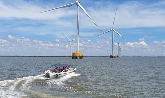 Một dự án điện gió ngoài khơi tại huyện Đầm Dơi, tỉnh Cà Mau khai bị mất trộm với tổng giá trị lên đến trên 28 tỉ đồng. Ảnh: Nhật Hồ