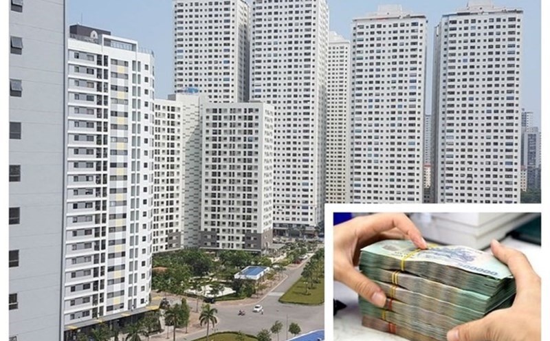 laodong.vn