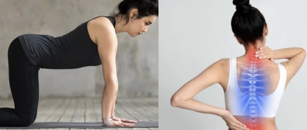 Bear plank giúp bạn săn chắc cơ bụng và cơ mông. Đồ họa: Hương Giang