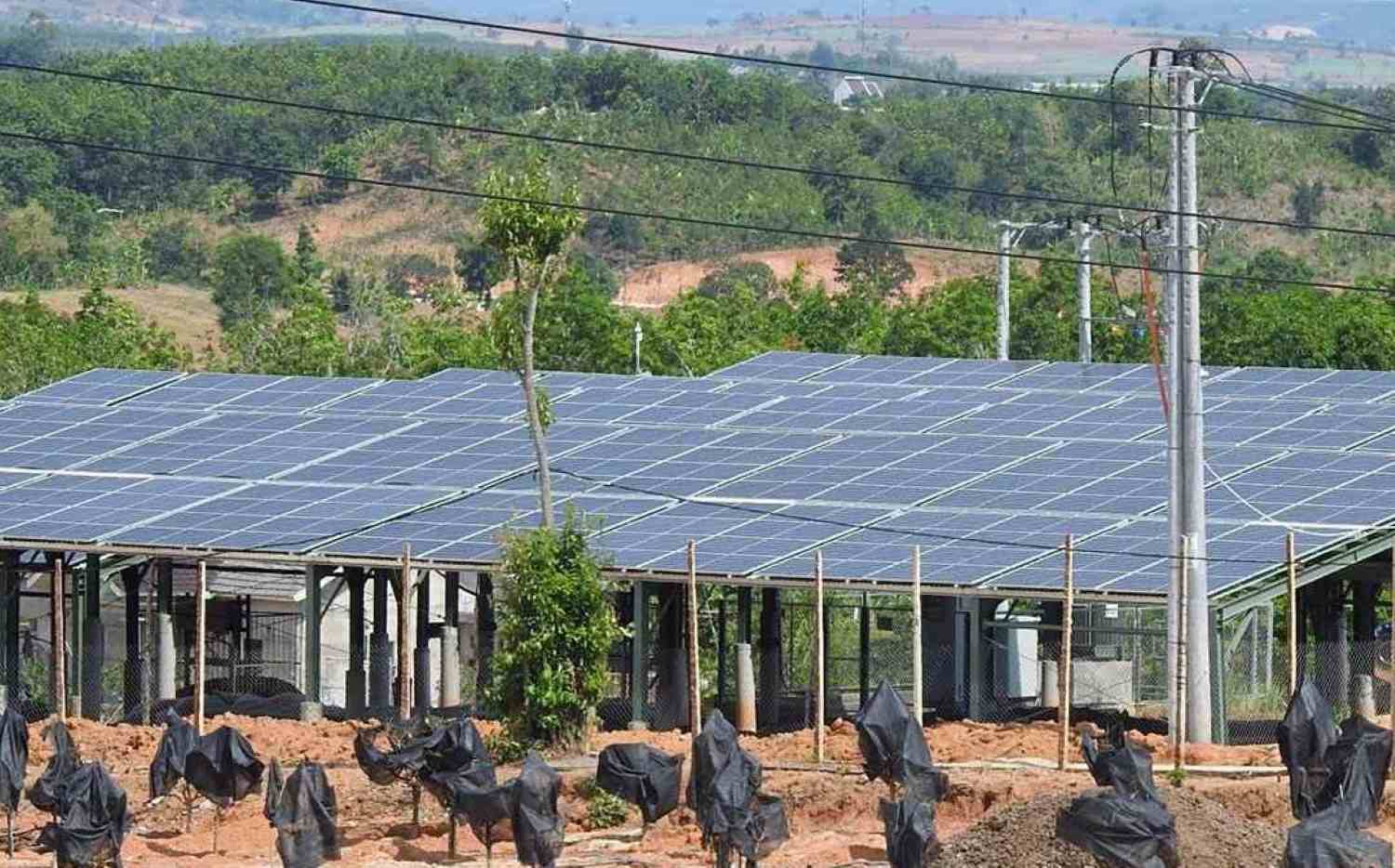 Bán được điện mặt trời sẽ giải quyết được nghịch lý về cung cầu điện. Ảnh: Thanh Hải