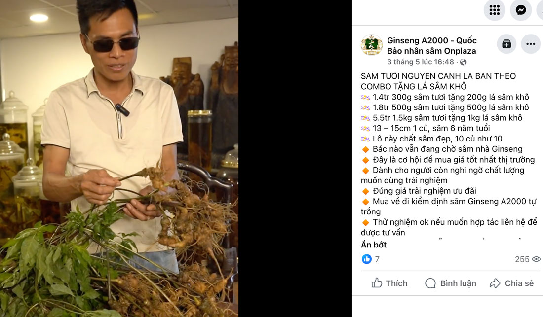 Ông Đào Văn Quang - Giám đốc Công ty Cổ phần On Plaza Quang Minh - rao bán sâm Ngọc Linh trồng tại Sa Pa với giá rẻ. Ảnh chụp màn hình 