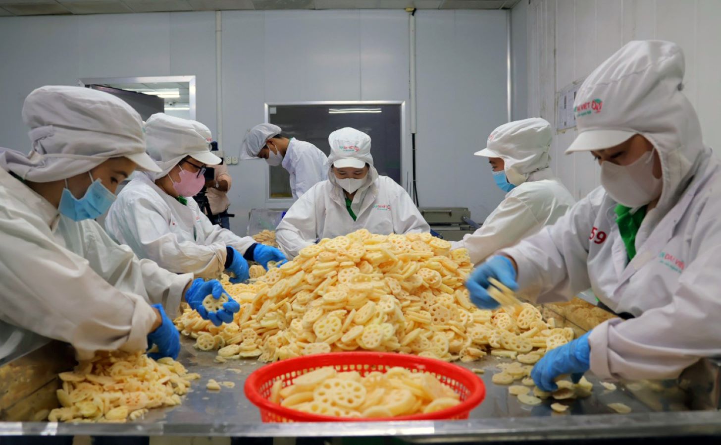 Sơ chế củ sen tại Công ty Cổ phần thực phẩm Sen Đại Việt. Ảnh: Ban tổ chức Lễ hội Sen