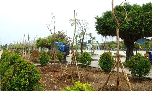 Trồng cây xanh, chỉnh trang đô thị tại thành phố Bạc Liêu (ảnh minh hoạ). Ảnh: Nhật Hồ