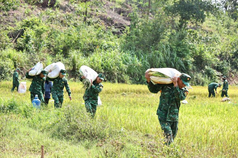 Gặt lúa xong, cán bộ, chiến sĩ biên phòng vận chuyển về nhà dân. Ảnh: Biên phòng Hướng Lập.