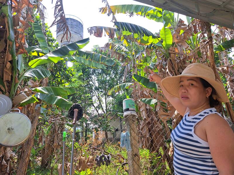 UBND Đà Nẵng ban hành văn bản về việc cung cấp nước sạch tại xã Hòa Bắc, huyện Hòa Vang. Ảnh: Nguyễn Linh