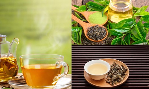 Cả trà xanh và trà chùm ngây đều chứa nhiều chất chống oxy hóa và có lợi cho sức khỏe. Ảnh: Hồng Diệp