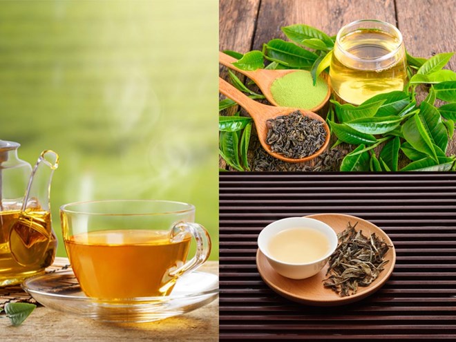 So sánh lợi ích sức khỏe giữa trà chùm ngây và trà xanh