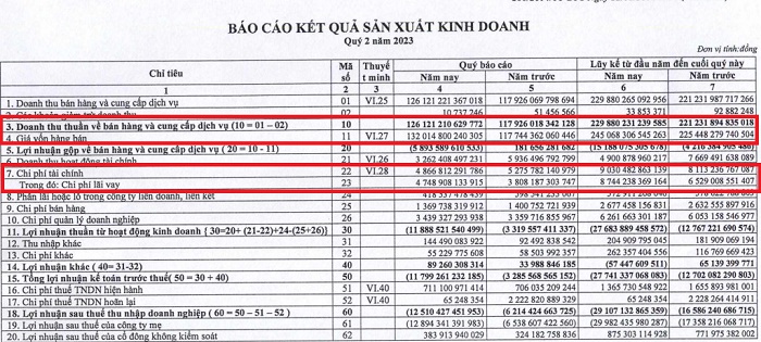 KQKD hợp nhất EVN 6 tháng đầu năm 2023. Ảnh chụp màn hình BCTC EVN