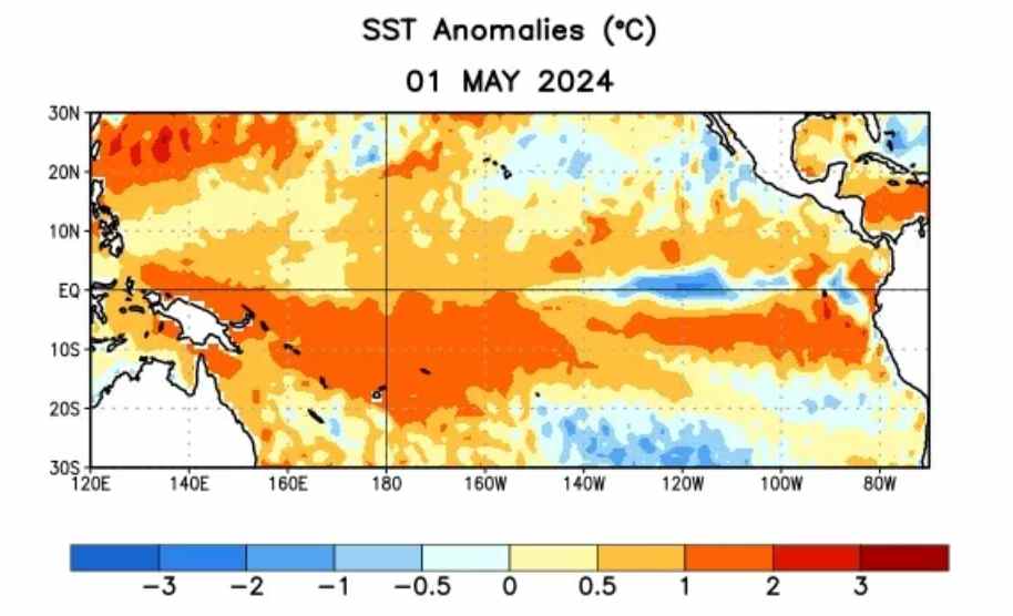 Nhiệt độ mặt nước biển trung bình (SST) bất thường (°C) ở Thái Bình Dương trong tuần tập trung vào ngày 1 tháng 5 năm 2024. El Nino được dự đoán sẽ chuyển sang điều kiện ENSO-Trung tính trong vài tháng tới.