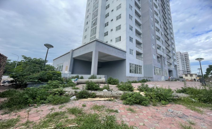 Khu tái định cư Đền Lừ III (quận Hoàng Mai, Hà Nội) đến nay vẫn đang bỏ trống, trở thành điểm tập kết rác thải. Ảnh: Lê Tâm