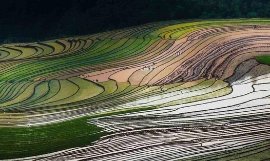 Đẹp mơ màng mùa nước đổ nơi vùng cao Tây Bắc. Ảnh: Nguyễn Tuấn Khoa