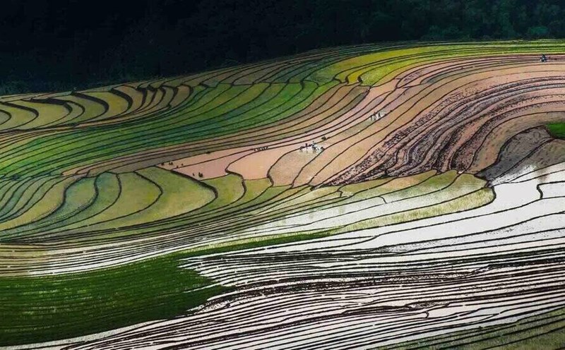 Đẹp mơ màng mùa nước đổ nơi vùng cao Tây Bắc. Ảnh: Nguyễn Tuấn Khoa