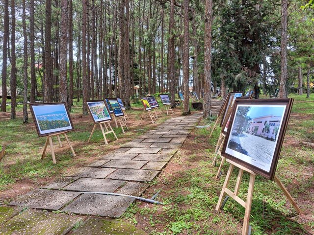 Khuôn viên Bảo tàng Lâm Đồng. Ảnh: Trần Thảo