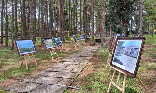 Khuôn viên Bảo tàng Lâm Đồng. Ảnh: Trần Thảo