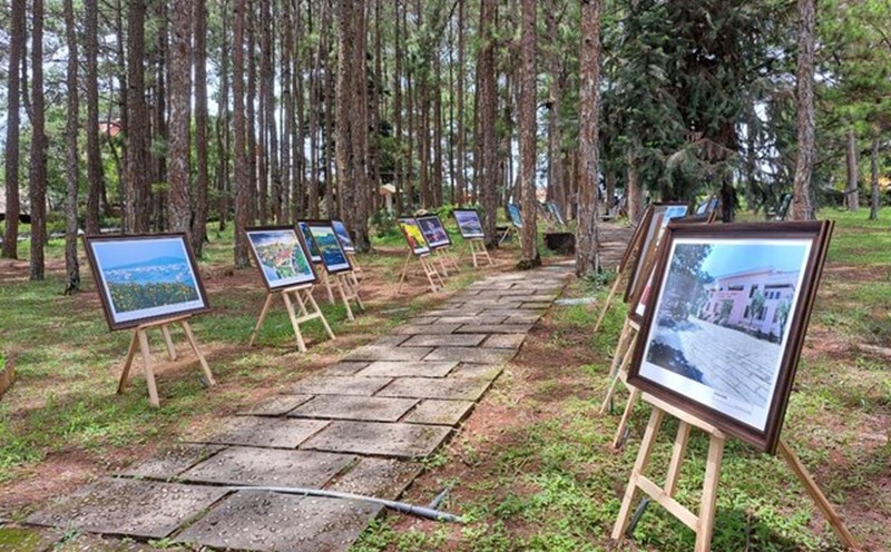 Khuôn viên Bảo tàng Lâm Đồng. Ảnh: Trần Thảo