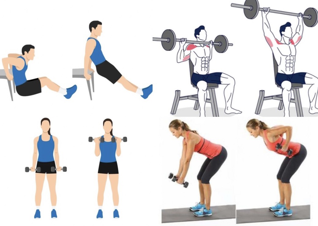 Một số bài tập kết hợp tạ có thể giúp giảm mỡ dưới cánh tay. Đồ họa: Hương Giang