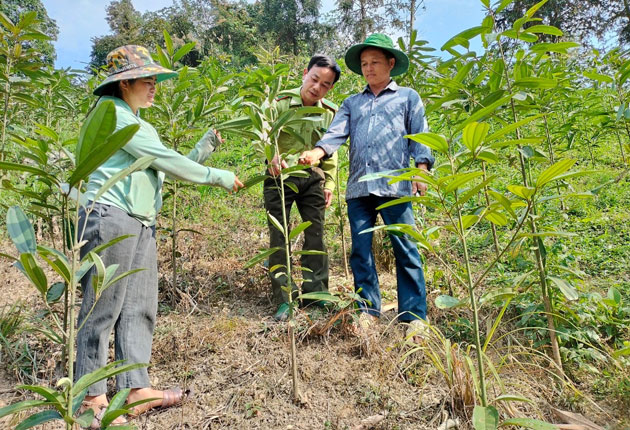 Hướng dẫn người dân trồng rừng và chăm sóc cây. Ảnh: Thanh Nam