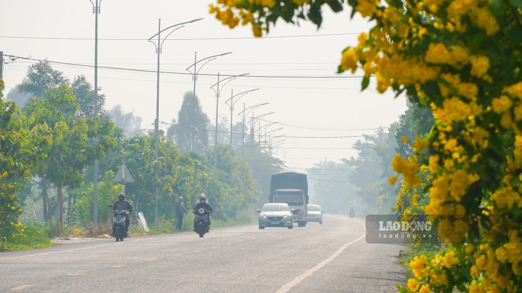 Còn với anh Huỳnh Tân (32 tuổi, huyện Thới Lai, TP Cần Thơ), lái xe gắn máy từ trung tâm TP Cần Thơ về nhà, đi ngang qua đoạn có đốt đồng, luồng khói dày đặc khiến đôi mắt anh bị cay xè và khó khăn trong việc di chuyển qua tuyến đường.