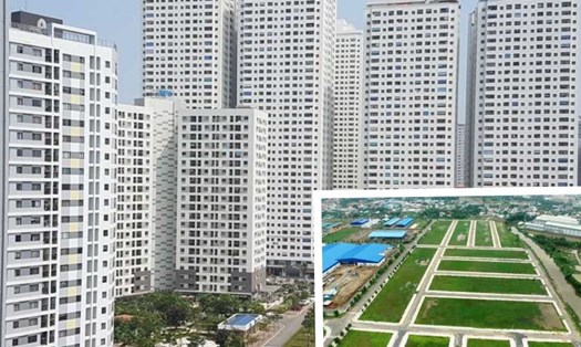 Năm 2024 vẫn là năm của thị trường căn hộ chung cư. Đồ họa: Linh Trang