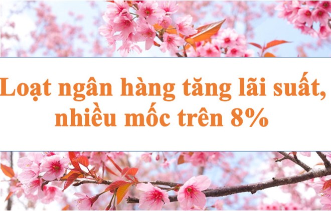 Lãi suất ngân hàng hôm nay 12.6: Lãi suất tăng hàng loạt, nhiều mốc trên 8%