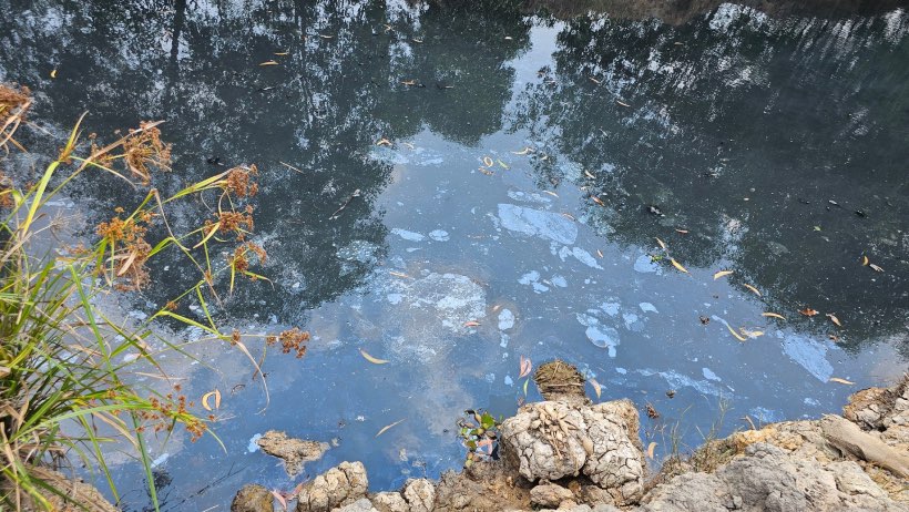 Công ty TNHH An Hưng Nông xả thải gây ô nhiễm nhiều tuyến kênh. Ảnh: Văn An