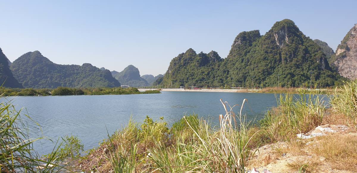 Tỉnh Quảng Ninh yêu cầu giám sát chặt chẽ quỹ đất ở 2 bên đường theo các chủ trương, kế hoạch, văn bản chỉ đạo của tỉnh ủy, UBND tỉnh và HĐND tỉnh. Trong đó, phải chú trọng bảo đảm đa dạng sinh học của các vùng đất ngập nước, rừng ngập mặn. Tăng cường biện pháp quản lý, bảo vệ, duy trì và củng cố rừng ngập mặn hiện có. Đặc biệt, hạn chế tối đa việc lấn biển, lấn mặt nước để phát triển đô thị; hạn chế tối đa việc chuyển đổi mục đích rừng tự nhiên và rừng ngập mặn. Ảnh: Nguyễn Hùng