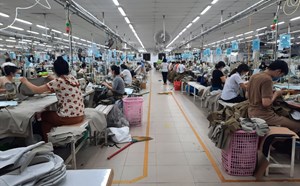 Bảo hiểm Bảo Việt bồi thường hơn 50 tỉ đồng cho Công ty Cổ phần Dệt may 29.3 tại Đà Nẵng.