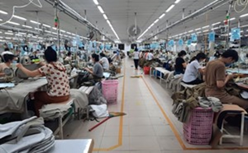 Bảo hiểm Bảo Việt bồi thường hơn 50 tỉ đồng cho Công ty Cổ phần Dệt may 29.3 tại Đà Nẵng.