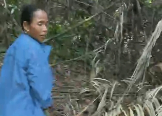 Vị trí người dân chặt mây và nghi thấy hổ trong rừng ở Quảng Bình. Ảnh: Cắt từ clip