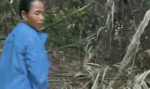 Vị trí người dân chặt mây và nghi thấy hổ trong rừng ở Quảng Bình. Ảnh: Cắt từ clip