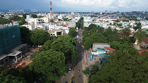 Một tuyến phố ở Pleiku rợp bóng cây xanh. Ảnh: Thanh Tuấn 