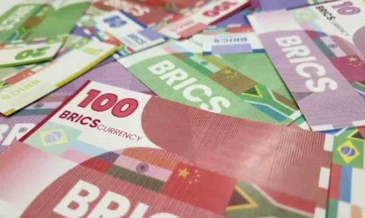 BRICS đang lên kế hoạch lập đồng tiền chung. Ảnh minh họa của orfonline.org