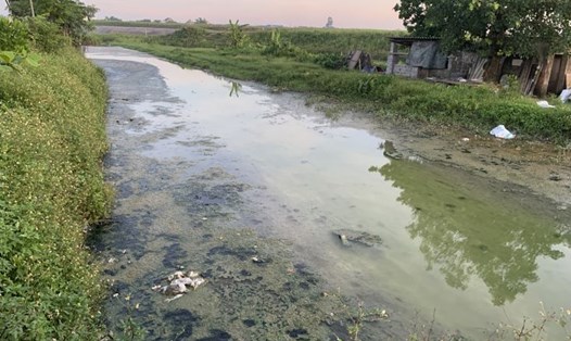 Hệ thống kênh, mương thôn Bình Yên (xã Nam Thanh, huyện Nam Trực, tỉnh Nam Định) ô nhiễm nghiêm trọng. Ảnh: Hà Vi