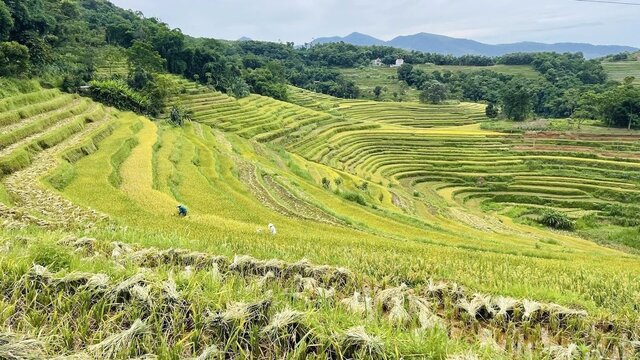 Diện tích rộng lớn có tới hàng trăm bậc nối liền nhau. Ảnh: Nguyễn Huy Tiến