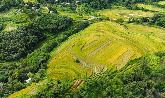 Ruộng bậc thang Miền Đồi - Viên ngọc thô vùng sơn cước chờ tỏa sáng. Ảnh: Nguyễn Huy Tiến