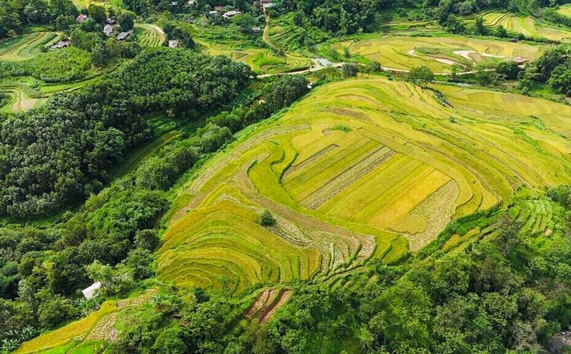 Ruộng bậc thang Miền Đồi - Viên ngọc thô vùng sơn cước chờ tỏa sáng. Ảnh: Nguyễn Huy Tiến