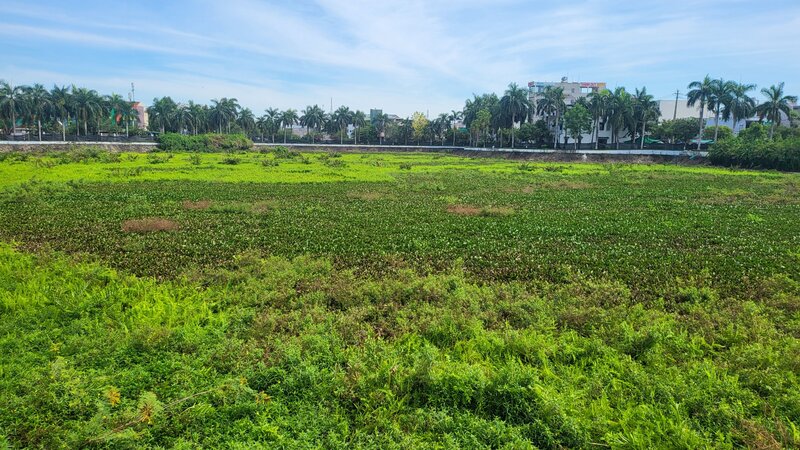 Thời gian nạo vét hồ điều hoà Nghĩa Chánh diễn ra trong 19 tháng. Ảnh: Viên Nguyễn