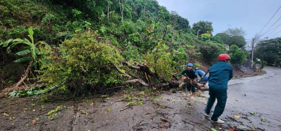 Cây cối đổ ngã do mưa bão gây ách tắc giao thông ở huyện đảo Kiên Hải. Ảnh: Ban CHQS huyện Kiên Hải