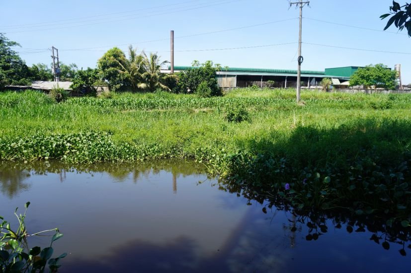 Nước thải đen ngòm ở tuyến kênh gần cụm công nghiệp làng nghề Tịnh Ấn Tây. Ảnh: Viên Nguyễn