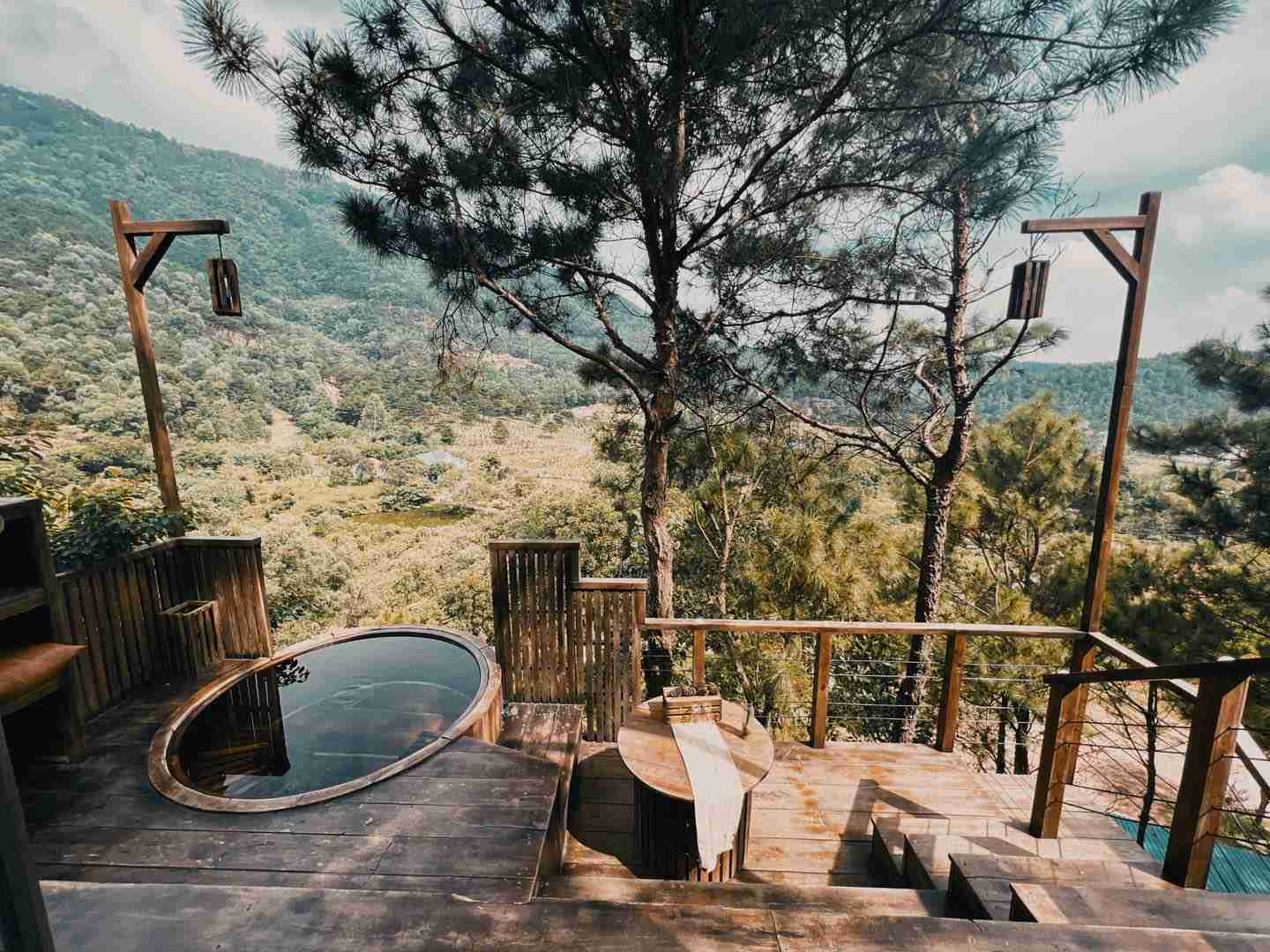 Rừng thông tựa như Đà Lạt thu nhỏ. Ảnh: Đồi Llum