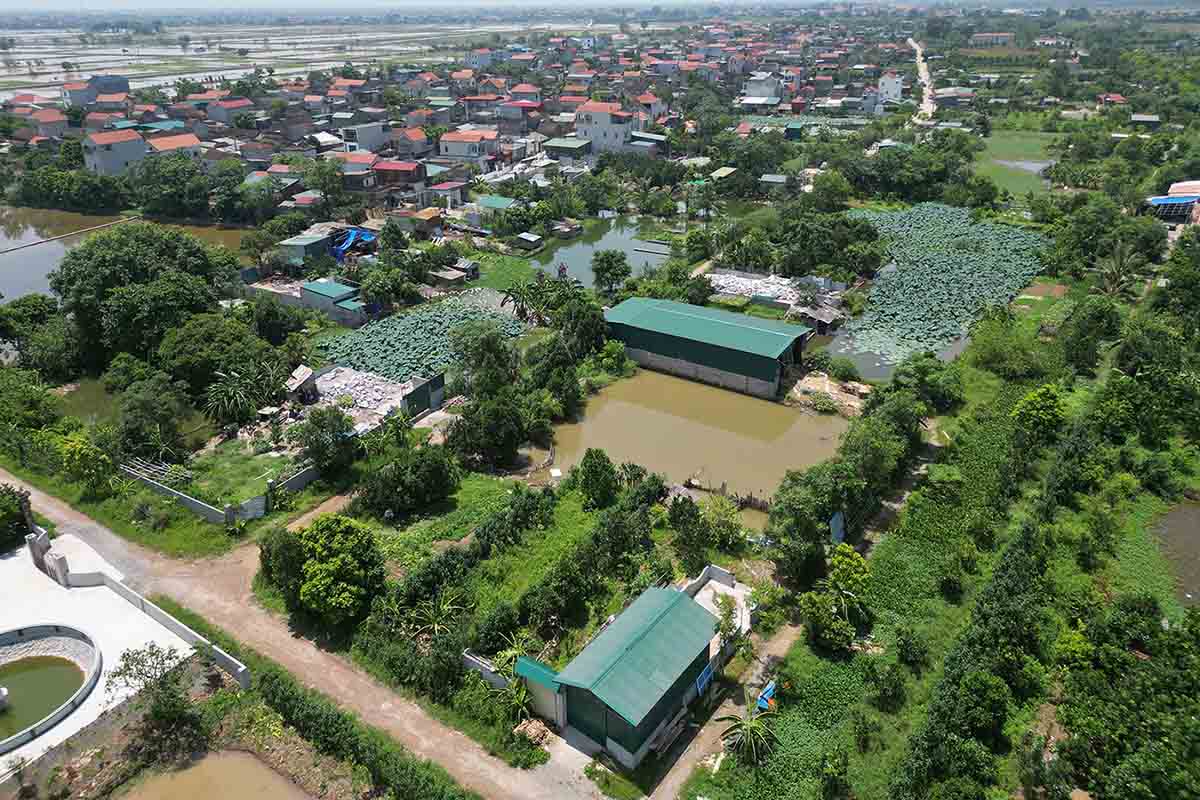 Theo UBND xã Tân Dân, tại xứ đồng Láng (thôn Đồng Phố) có 23 công trình nhà tạm, lều lán vi phạm xây dựng trên đất nông nghiệp.
