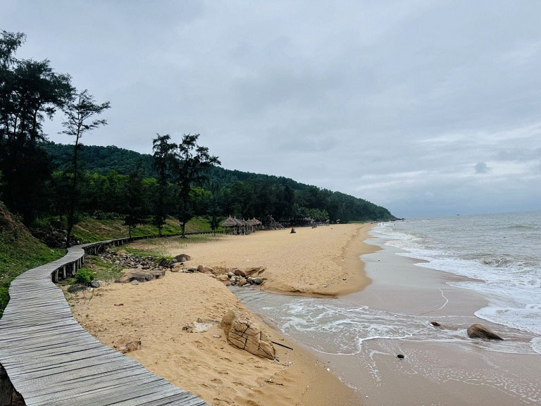 Bãi Đông Thanh Hóa hay còn gọi là Bãi Đông Nghi Sơn, nằm ở xã đảo Nghi Sơn, Tĩnh Gia, Thanh Hóa. Bãi biển này cách thành phố Hà Nội khoảng 150km, cách thành phố Thanh Hóa 60km. 