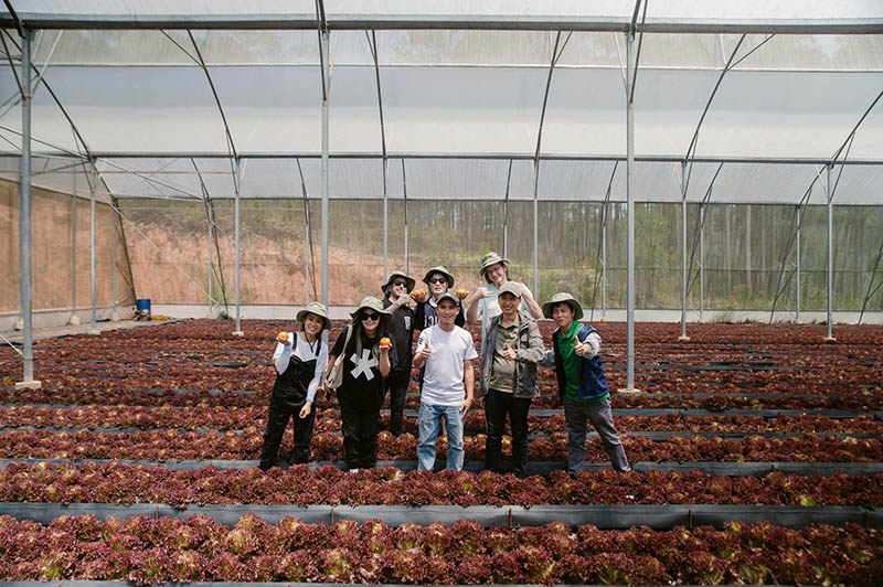 Đoàn tham quan cùng thu hoạch những sản phẩm sạch, tươi mới từ nông trường. Ảnh: Masan Group