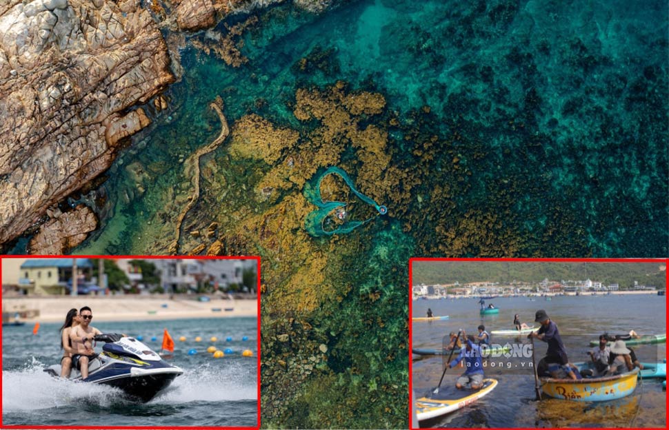 Nằm cách TP Quy Nhơn 15km, cánh đồng rong mơ tại làng chài Nhơn Hải (xã Nhơn Hải) là điểm đến lý tưởng đối với đông đảo người dân, du khách. Ảnh: Hoài Luân - Dũng Nhân