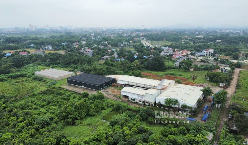 Hoang tàn tại dự án nông nghiệp ở Thái Nguyên. Ảnh: Lam Thanh