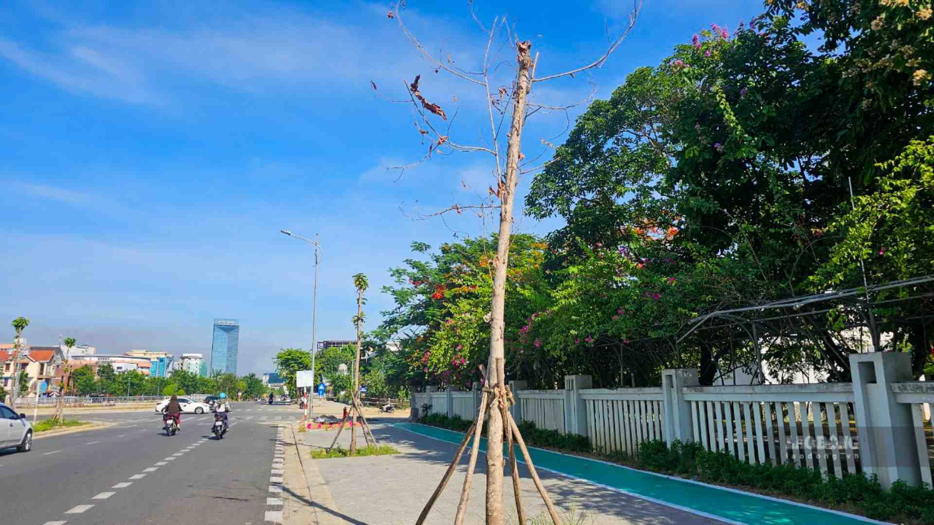 “Số cây sinh trưởng kém, bị khô phải trồng lại 394 cây, chủ yếu cây dầu rái trên tuyến đường Võ Nguyên Giáp, Tố Hữu, Khu hành chính tập trung (tổng giá trị 426 triệu đồng). Hiện nay nhà thầu tiến hành trồng lại 303 cây, di chuyển ra khỏi công trình 64 cây, 27 cây đang tiến hành di dời và trồng lại“, ông Bắc cho hay.