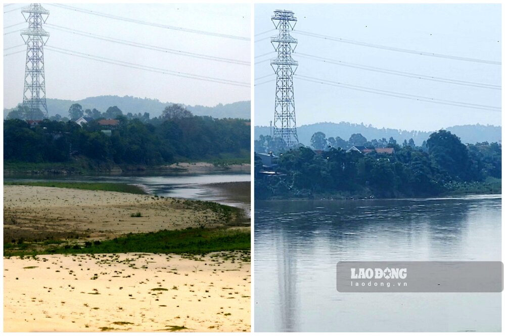Cùng một góc chụp đoạn sông Hồng thuộc địa phận thị xã Phú Thọ thời điển 1 năm trước (ảnh bên trái) so với hiện tại (ảnh bên phải). Ảnh: Tô Công.