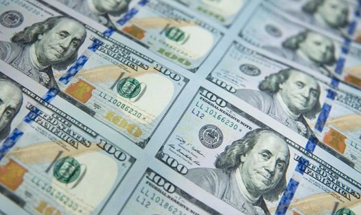 Tỷ giá USD Ngân hàng Nhà nước ở mức 24.256 đồng, tăng 1 đồng so với hôm qua. Ảnh: AFP 