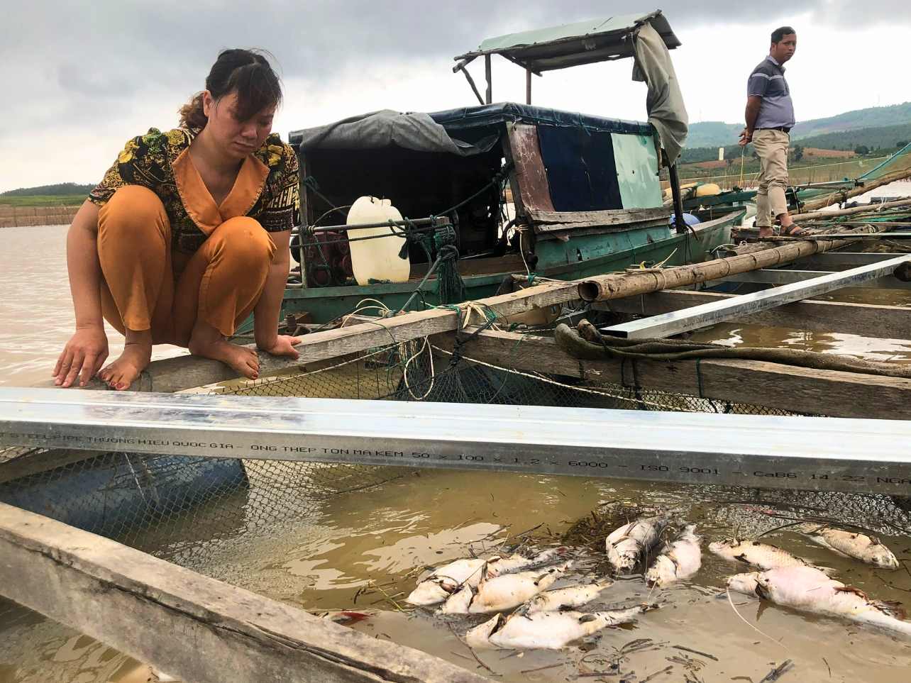 Chị Vũ Thị Nguyệt suy sụp chứng kiến đàn cá lăng chuẩn bị thu hoạch chết sạch trong vòng 1 ngày. Ảnh: Lê Nguyên
