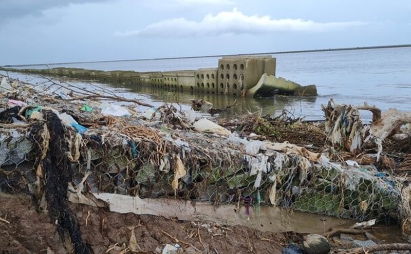 Đê biển Tây tỉnh Cà Mau thường xuyên đối mặt với sạt lở do thiên tai. Ảnh: Nhật Hồ